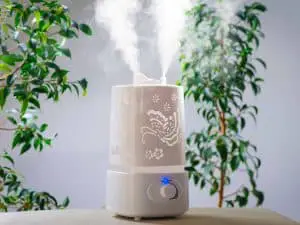 10 Best Whole House Humidifiers [2022 GUIDE]