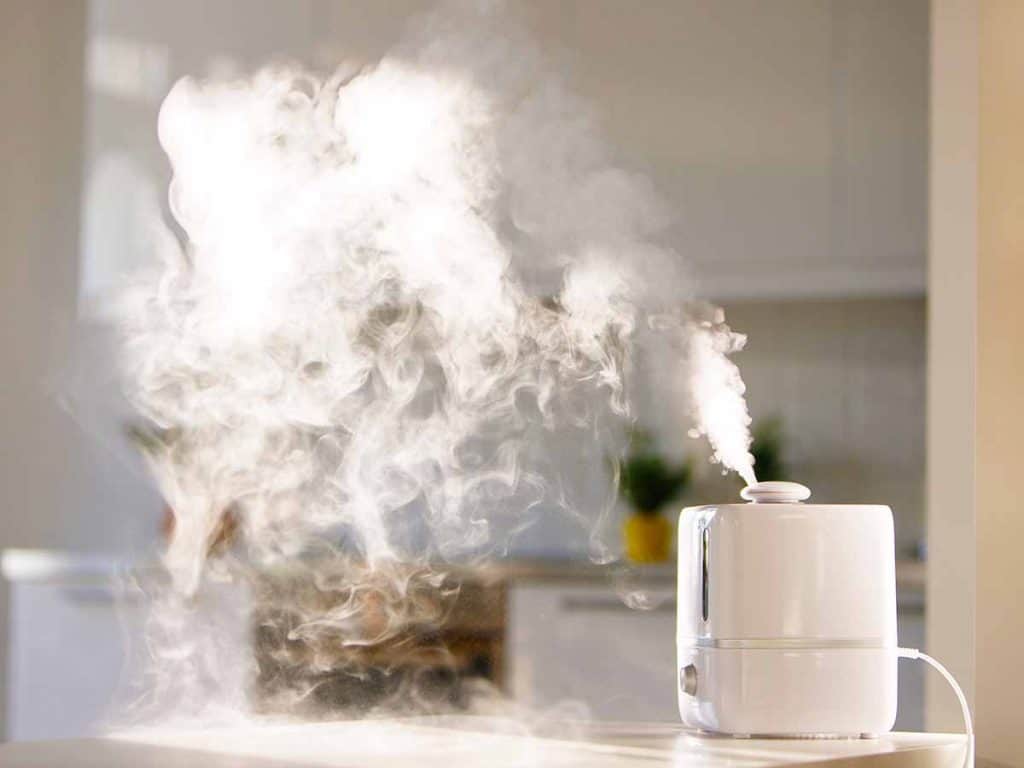 The Right Humidifier for You? (5 Types Compared) – a2c